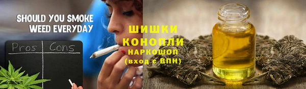шишки Дмитров