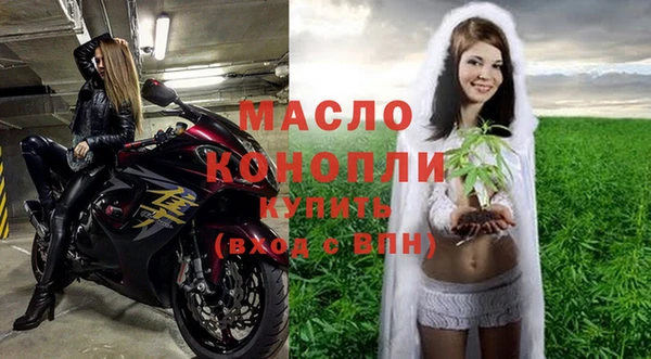 шишки Дмитров