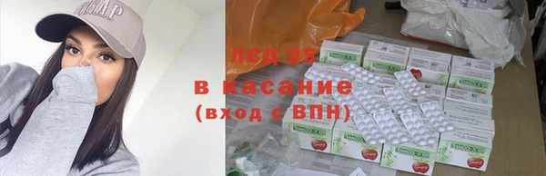 шишки Дмитров