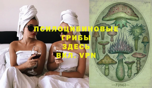 шишки Дмитров