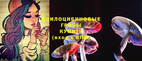 шишки Дмитров