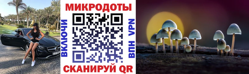 Купить закладки  Верхнеуральск  Галлюциногенные грибы GOLDEN TEACHER 